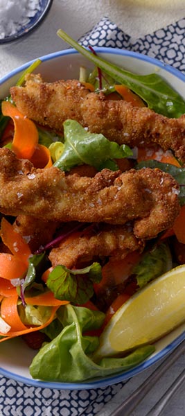 Indian Crumbed Chicken Salad Recipe Grain Field Chickens